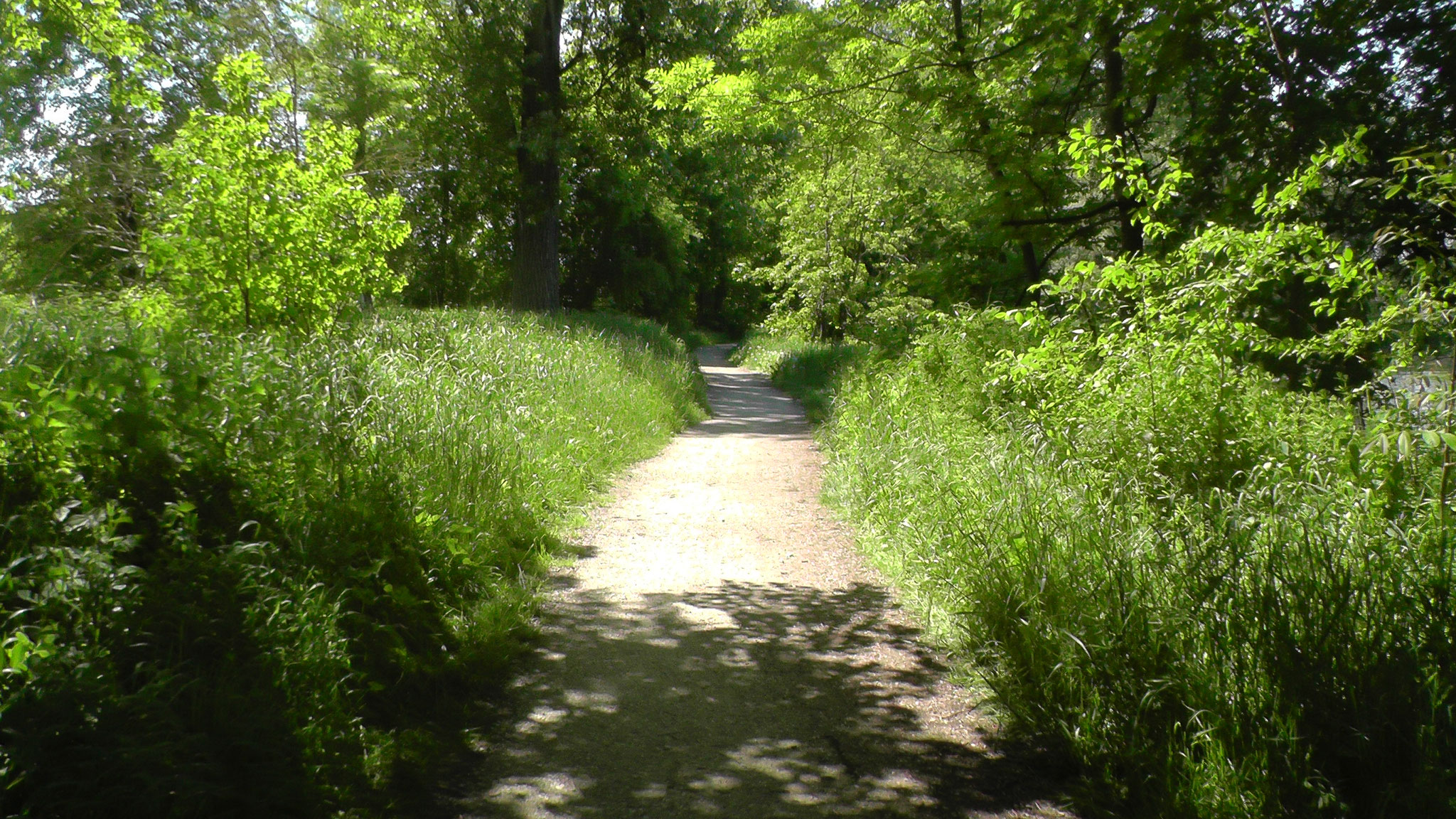 Fußweg entlang der Brandl-Bucht.