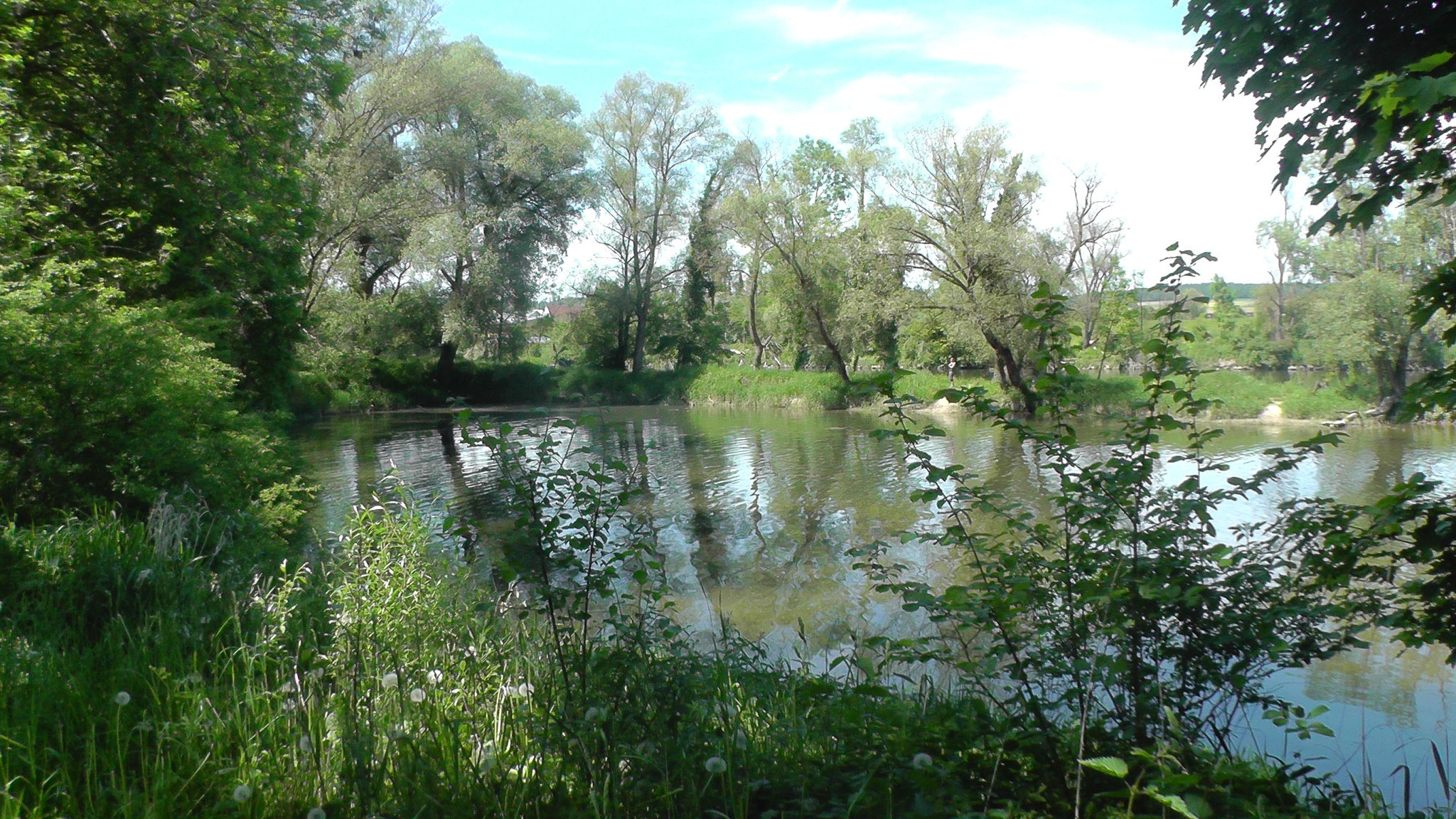 Natursteg in der Brandl-Bucht.