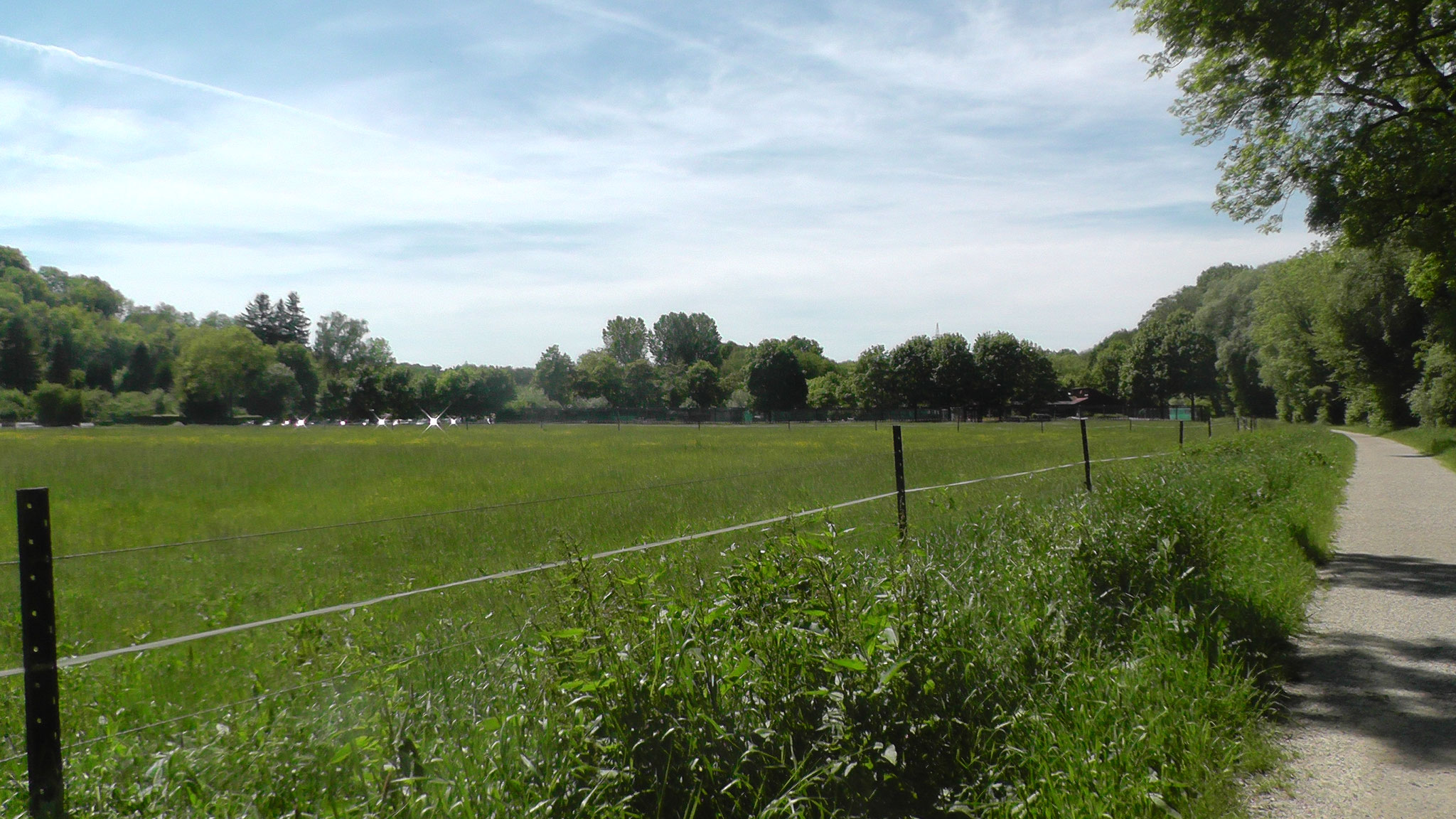 Fuß- bzw. Radweg zwischen Altstadt und Freibad mit Blick auf das Freibad.