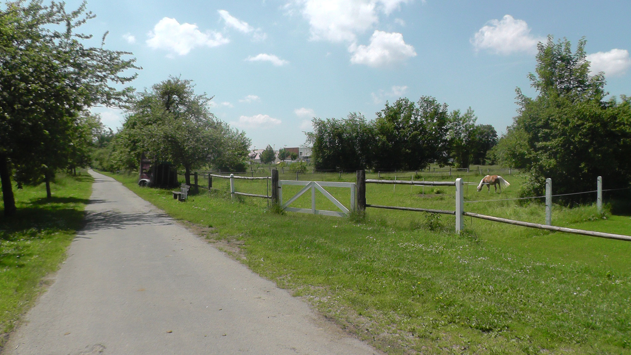 Fuß-bzw. Radweg vom Reitstall Richtung Parkplatz Schlösselwiese.