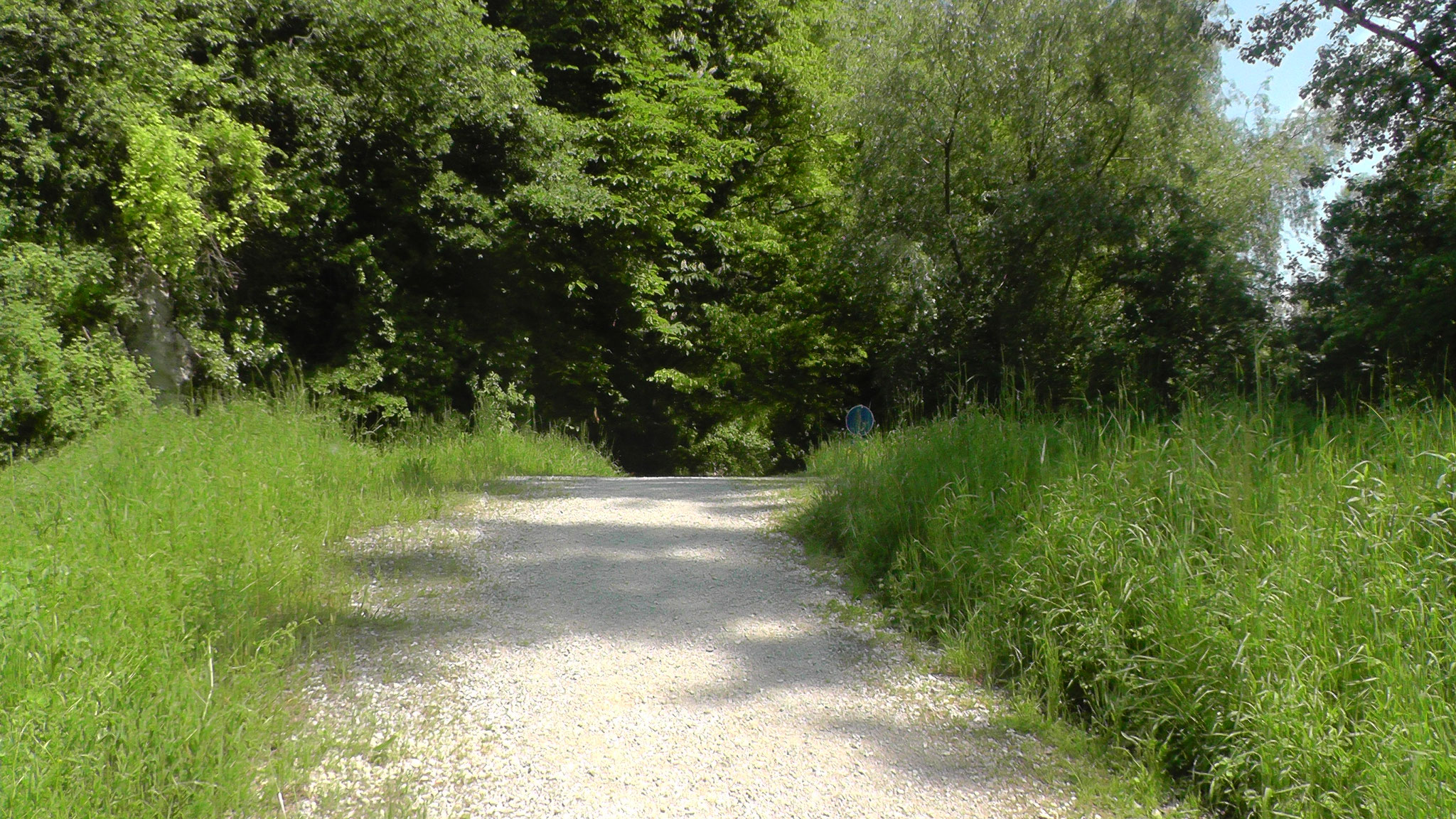 Eingang zum Wanderweg in die Donauauen Richtung Joshofen.