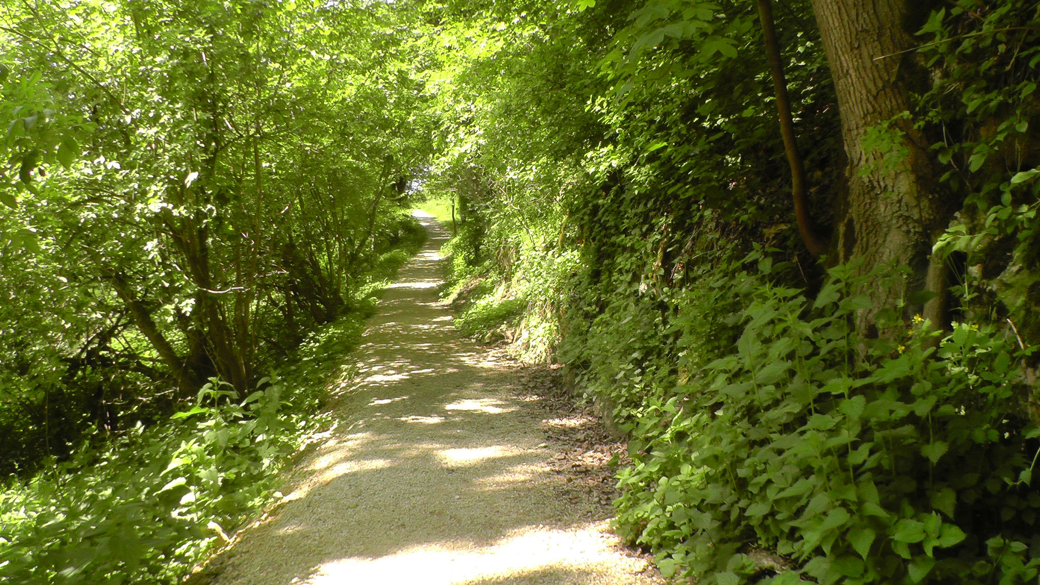 Wanderweg Richtung Joshofen.