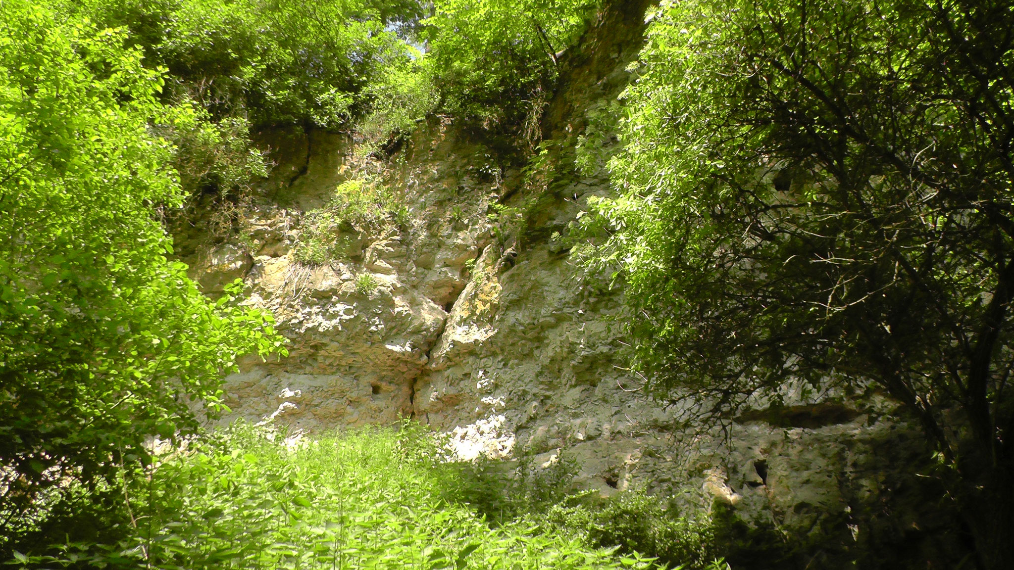 Jurafelsen entlang des Wanderweges kurz vor dem Aufgang zu dem Ausflugslokal Arco Schlösschen.