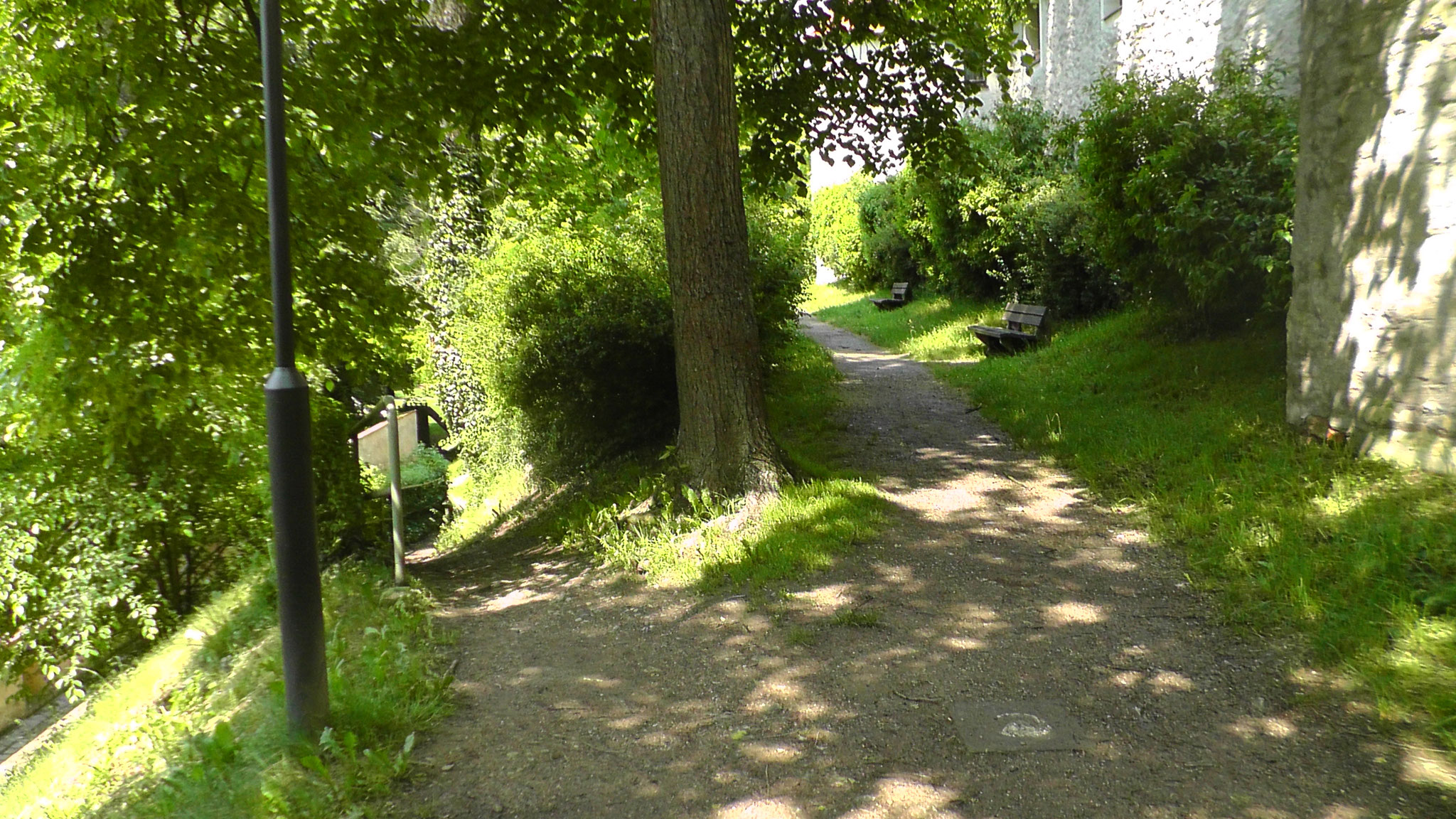 Weg Richtung Spielplatz nach unten oder in den hinteren Bereich des Hofgartens oben.