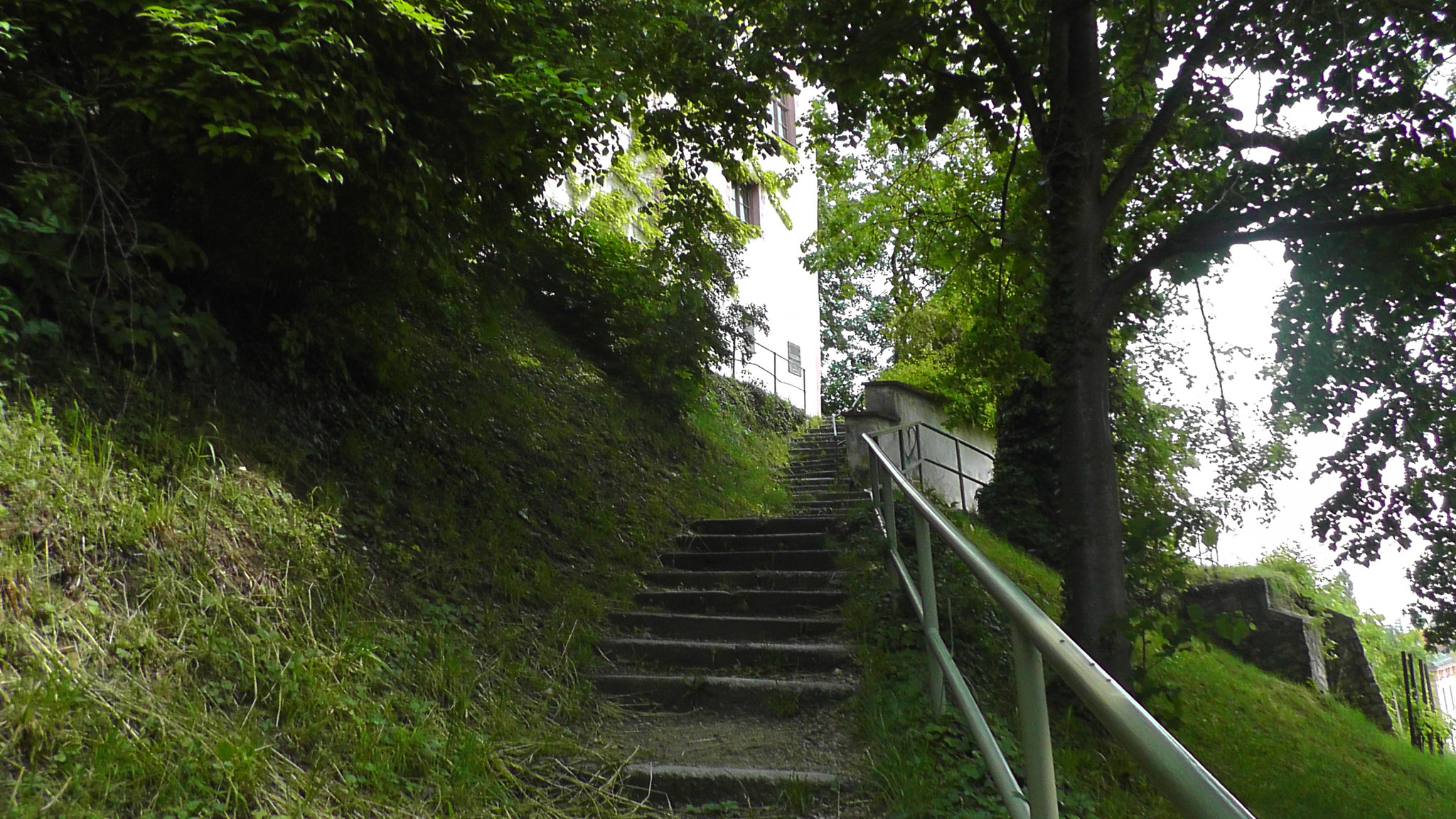 Blick von der mittleren Etage auf die oberste Etage des Hofgartens.