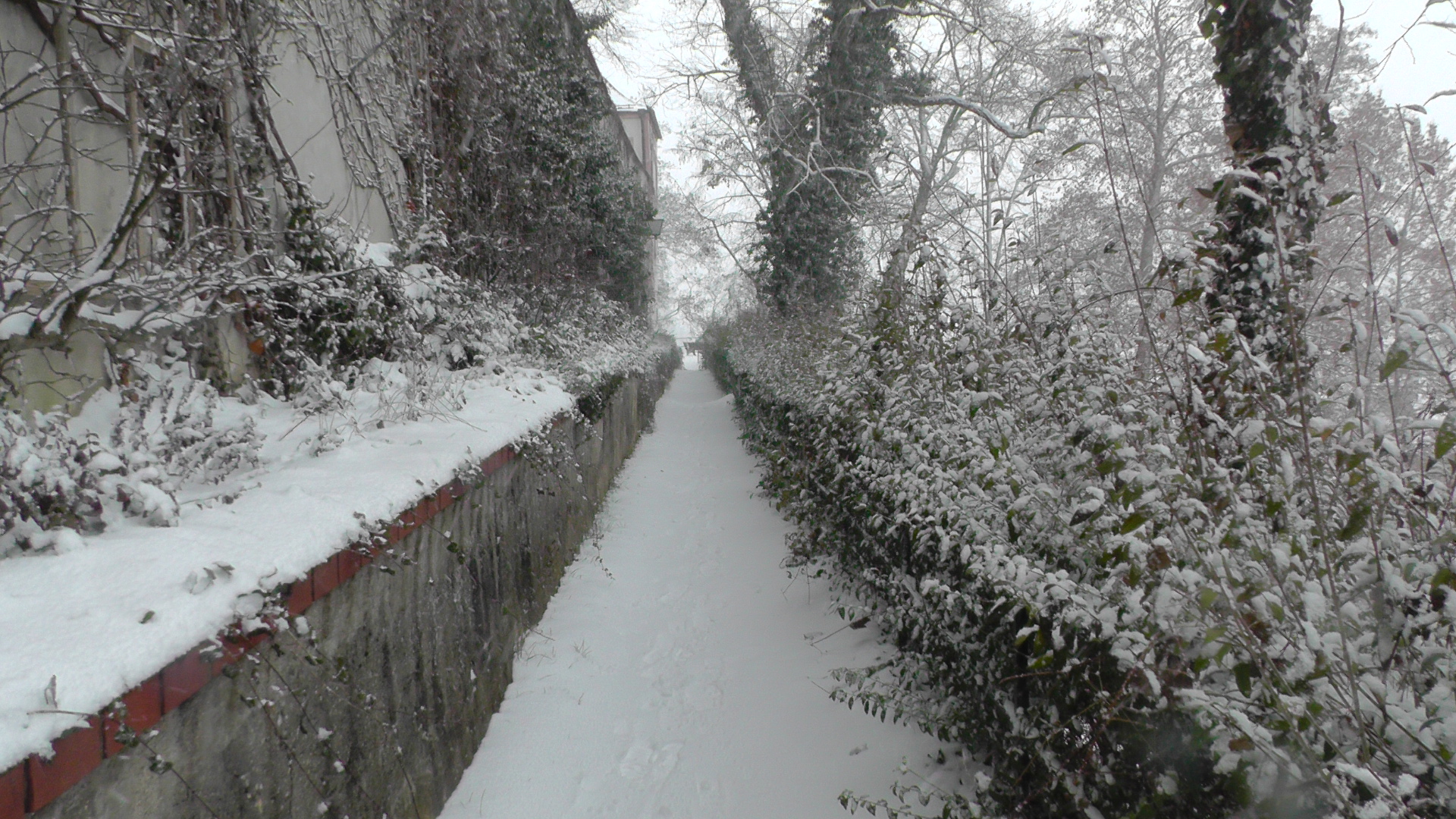 Absolute Stille im Schnee.